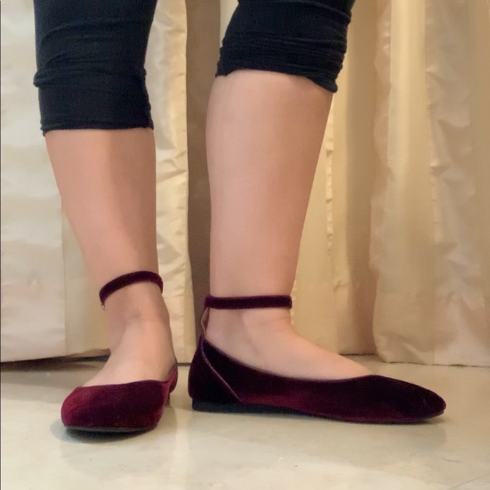 Wine, velvety,  flats, Steve Madden